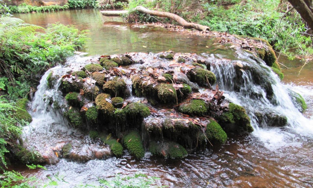 Sabie Self Catering Apartments Zewnętrze zdjęcie